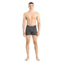 Icebreaker MEN ANATOMICA BOXERS | 011-JET HE -Paragon Sports Shop 43134 6307 IB103029 011 HET HEATHER 4