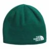 The North Face KIDS' JIM BEANIE | NL1-EVERGR