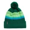 Turtle Fur YOUTH OMEGA BEANIE | 108-EVERGR