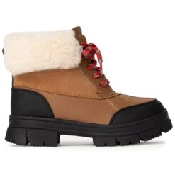Ugg K ASHTON ADDIE | CHE CHESTN