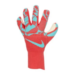 Nike VAPOR GK | 850-EMGNGN