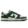 NIKE DUNK LOW | 100 SUMMIT