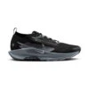 Nike PEGASUS TRAIL 5 GTX | 001 BLACK/