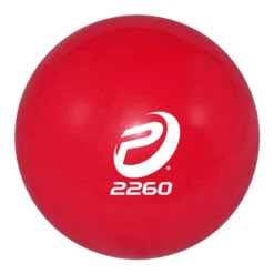 WEIGHTED SAND BALL | 5 LBS